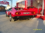 snv82274.jpg