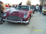 snv82278.jpg