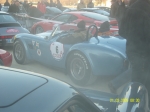 snv82294.jpg