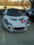 snv82300.jpg