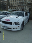 snv82306.jpg