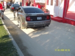 snv82381.jpg